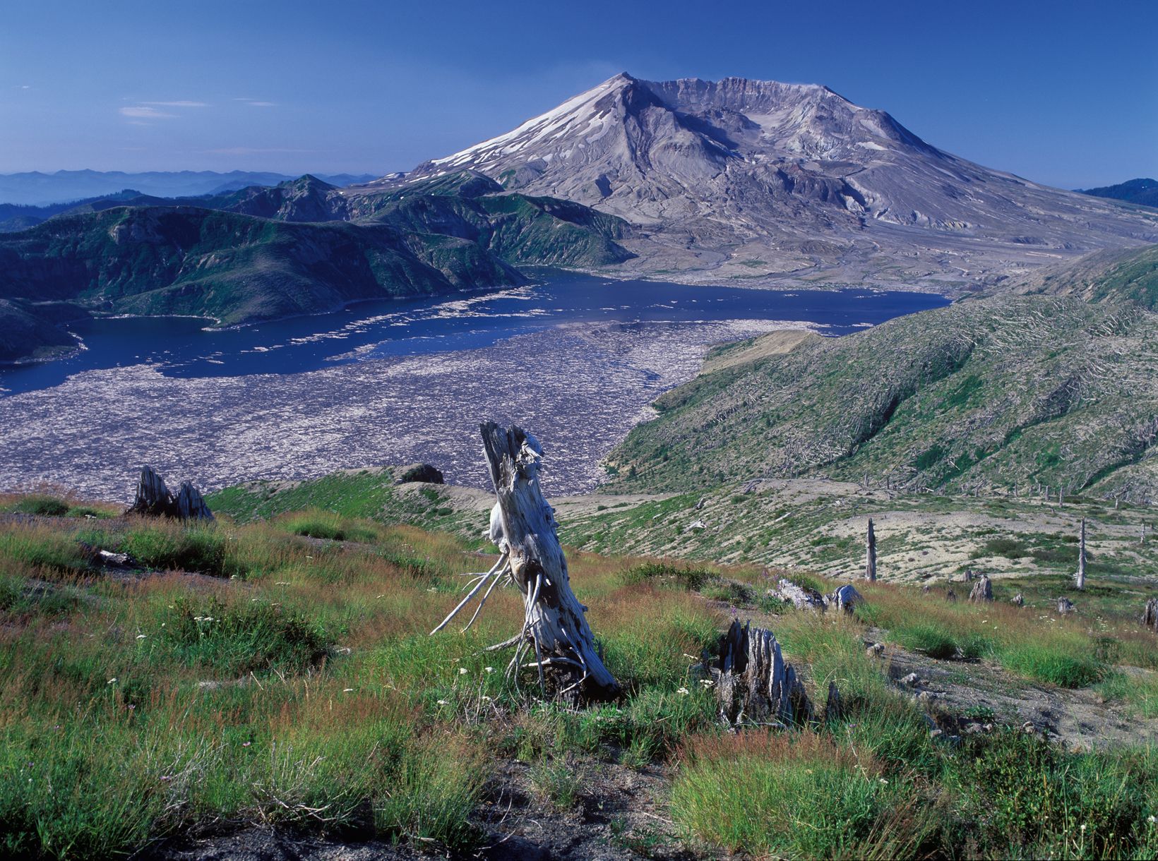 Bild zu Mount St. Helens